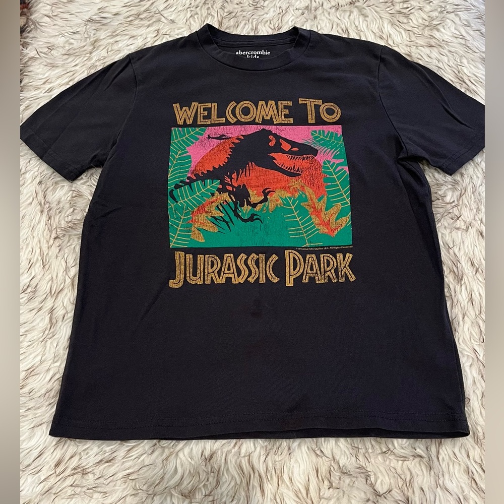 Abercrombie Kids Distressed T-Shirt - Jurassic Park - Boys 11/12